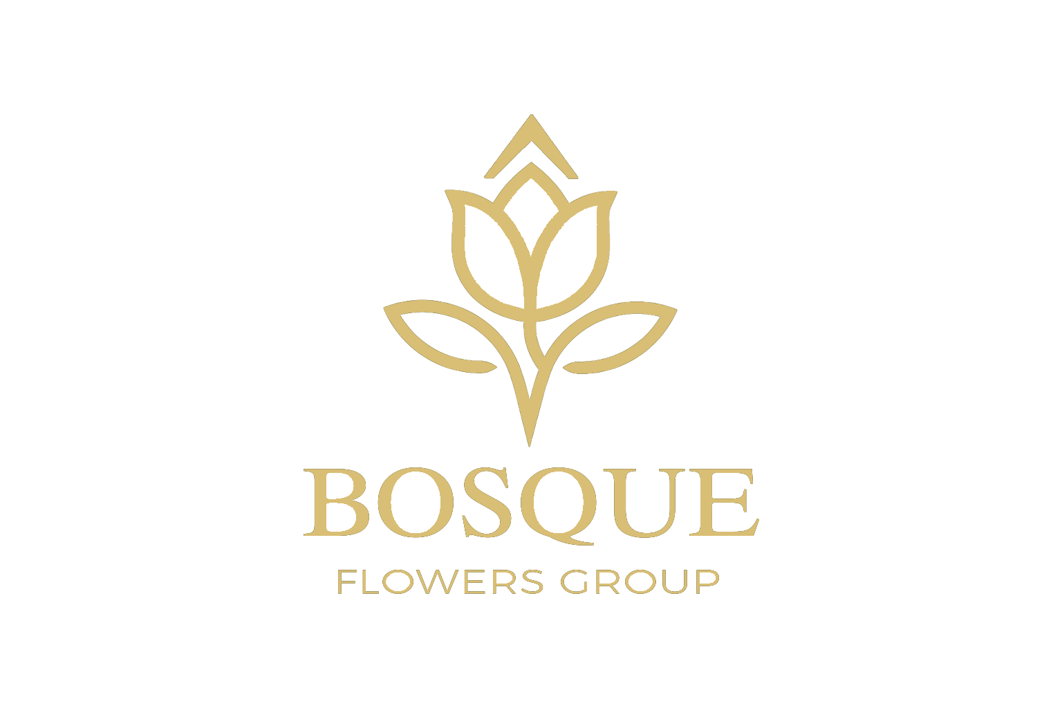 Premium Ecuadorian Roses – Direct from Farm | Bosque Flowers Group